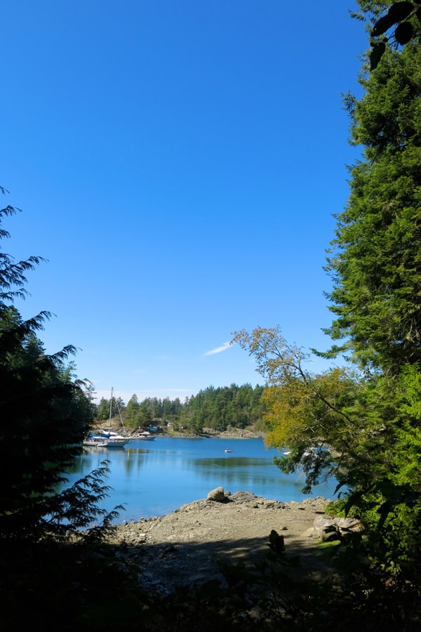 explore-sunshine-coast-13