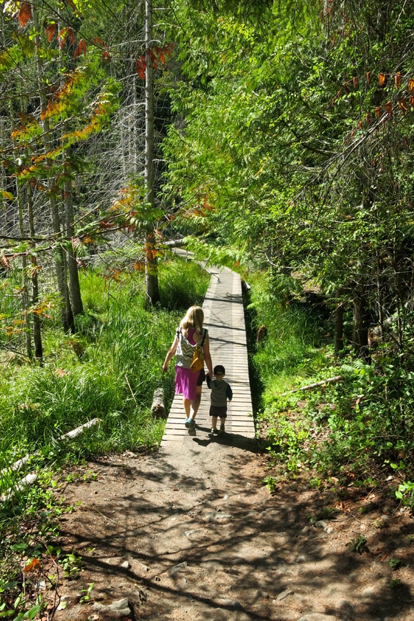 explore-sunshine-coast-17