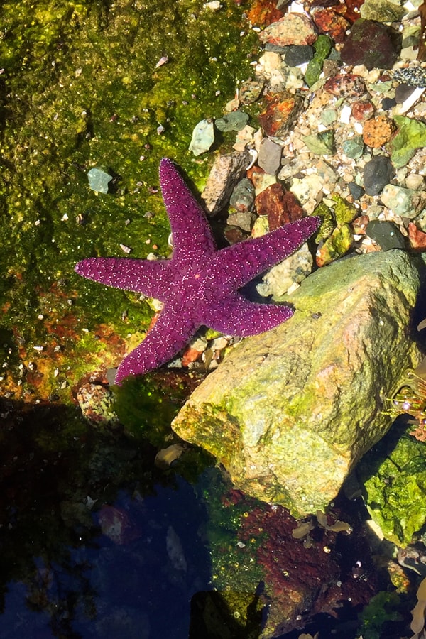 explore-sunshine-coast-21