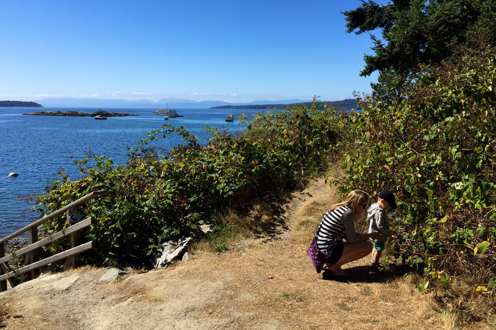 explore-sunshine-coast-27