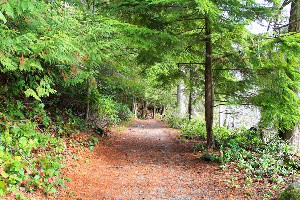 explore-sunshine-coast-3