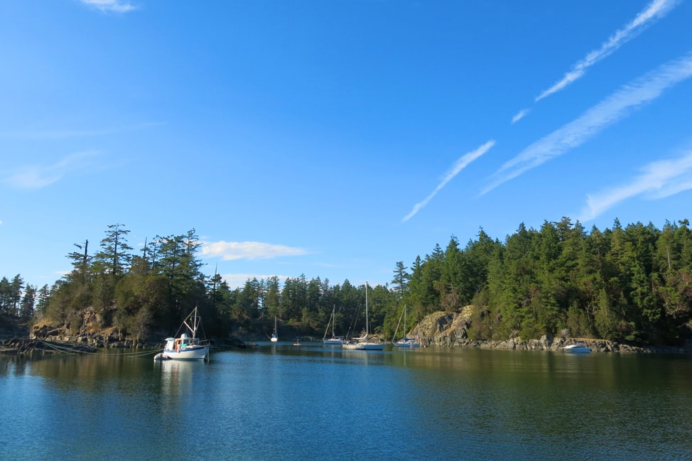 explore-sunshine-coast-8