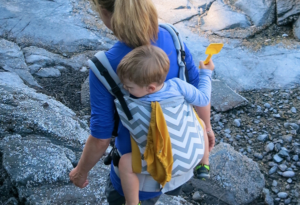 TULA TODDLER CARRIER