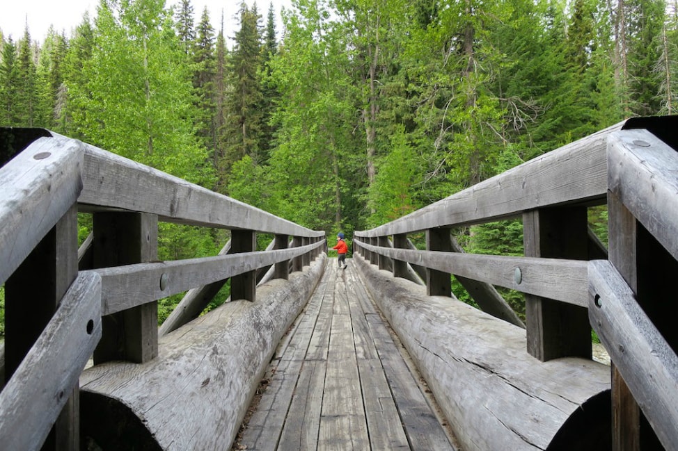 nature-closer-together-07-min