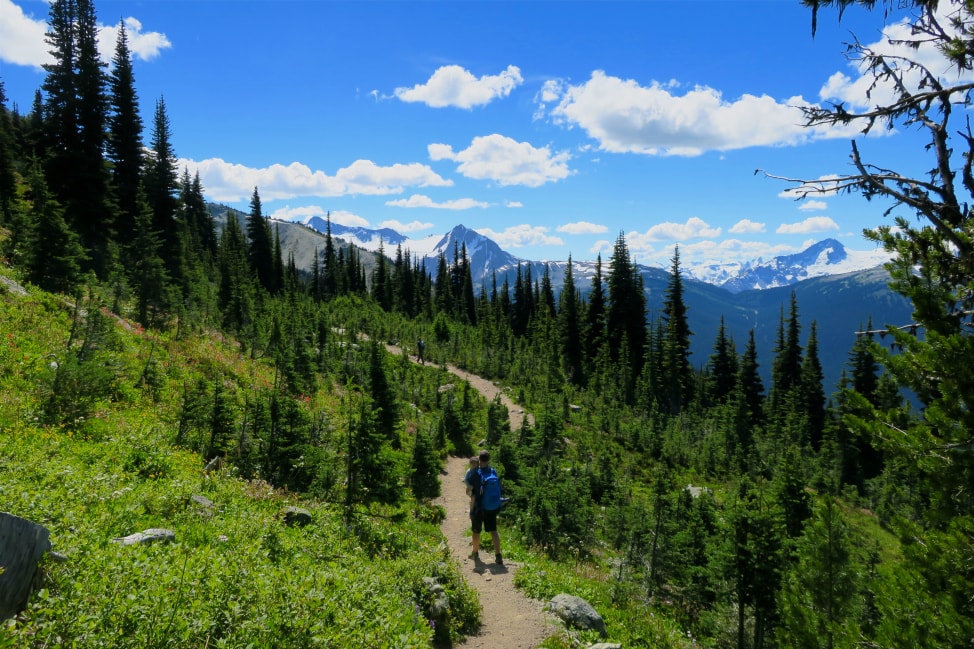 nature-closer-together-8-min